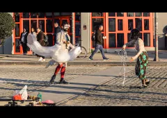 performance with Anosia