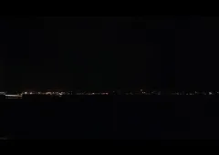 sarcocornea film