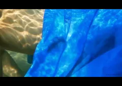 sea is not blue