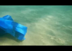 sea is not blue